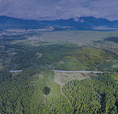 山水文園財務信息填報及分析系統(tǒng)